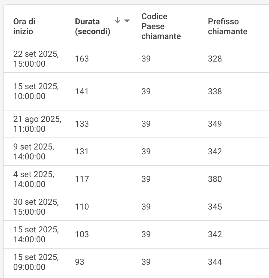 Dettagli chiamate tracciate Google Ads logistica